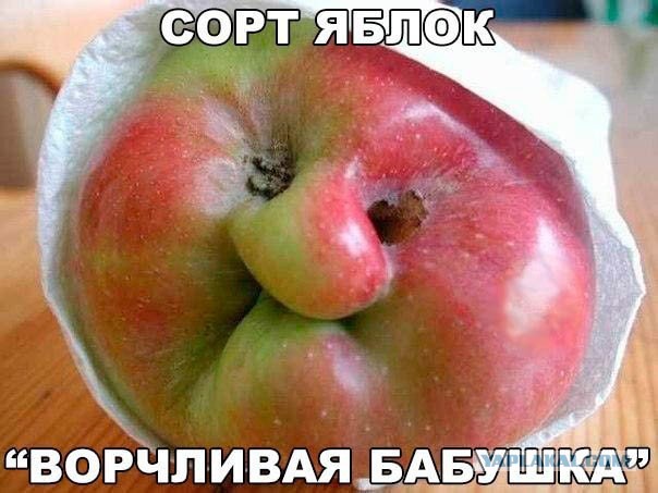 Прикольные и не очень картинки из сети