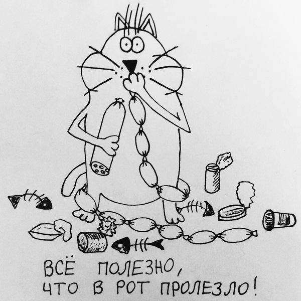 Подборка веселых картинок на выходные