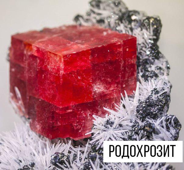 Интересные и веселые картинки