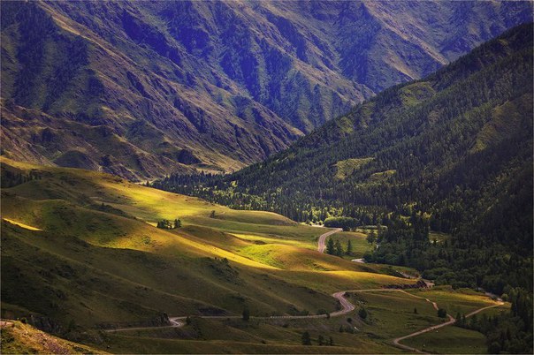 Интересные и веселые картинки