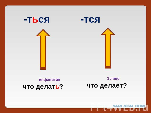 Боитесь змей?