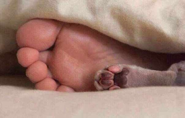 Интересные и веселые картинки