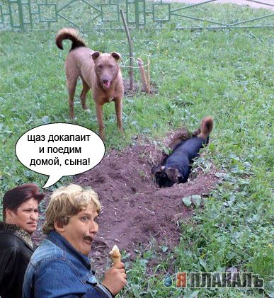 Фотожаба: да здесь где-то недалеко!