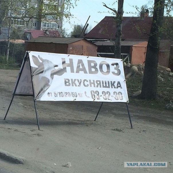 Картинки на пятницу