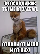 демократия