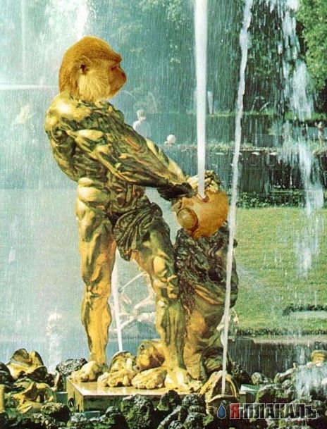 Отдай чипсину,каза
