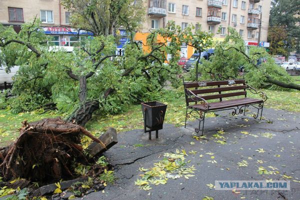 В Абакане снег, а как у вас погода, дорогие ЯПовчане?