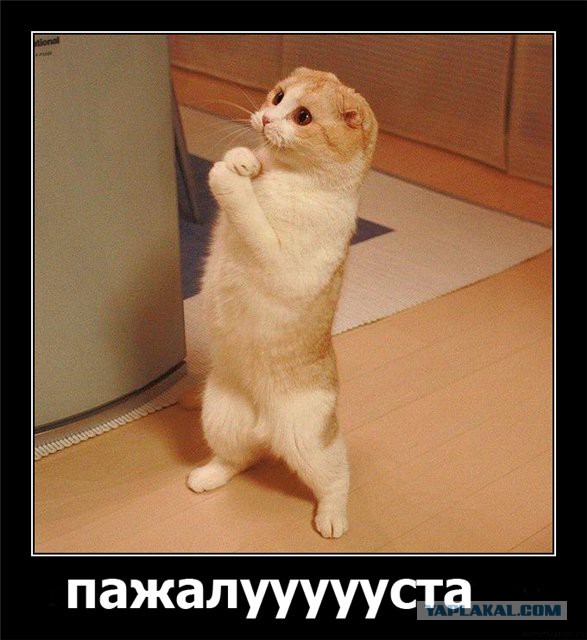 Помпейская печь. Сбылась мечта.