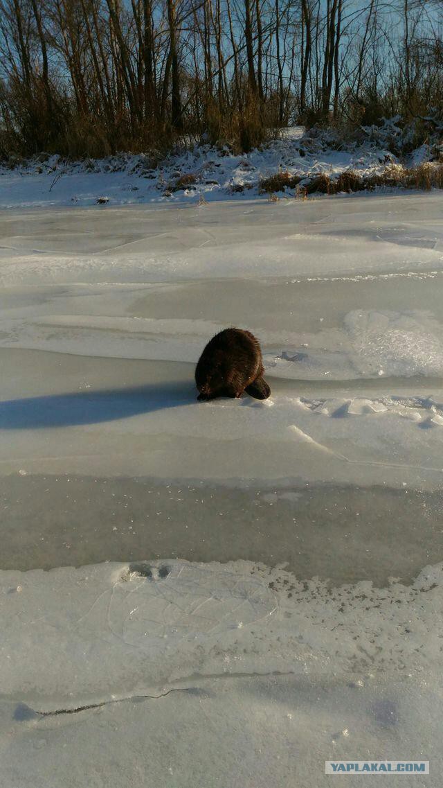 Друг был на рыбалке