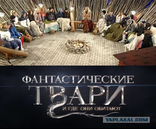 Всячина. Картинки + тексты картинками