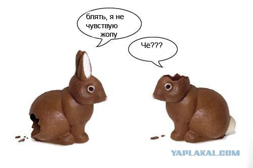Порция абсурдного юмора на следующую неделю