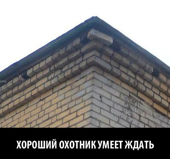 Фото из этих ваших интернетов.