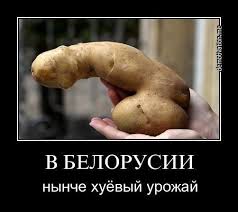 Веселые картинки...