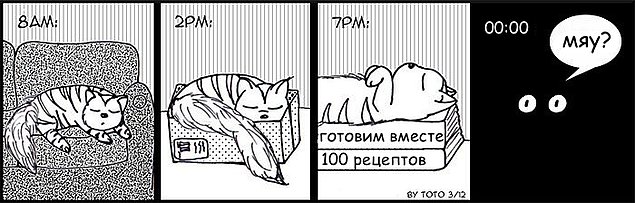 Комиксы, показывающие, что значит жизнь с котом
