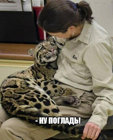 Просто картинки с сети