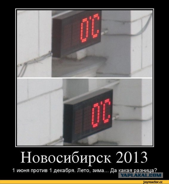 Дурацкое лето 2017