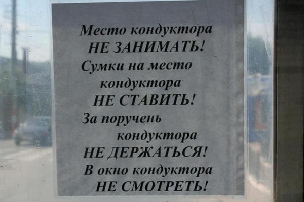 100 картинок для поднятия настроения!