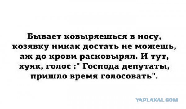 В Петербурге предложили наказывать депутатов за их законы