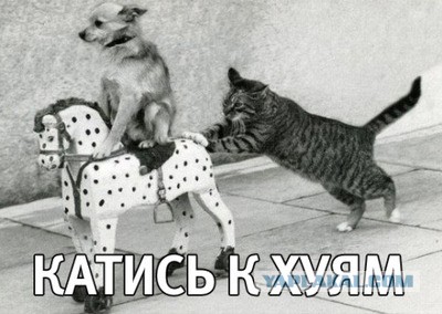 Восьмиклассника закололи ножом в сердце в школьном туалете