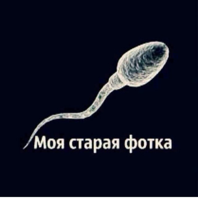Итоги проверки пользователей