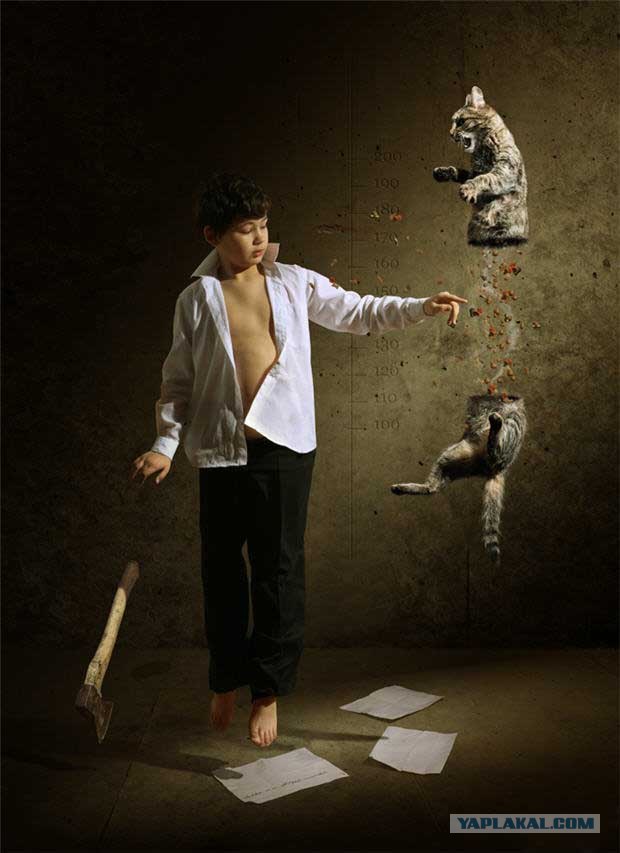 Котовторник на ЯПлакалъ: Кото и кто-то!