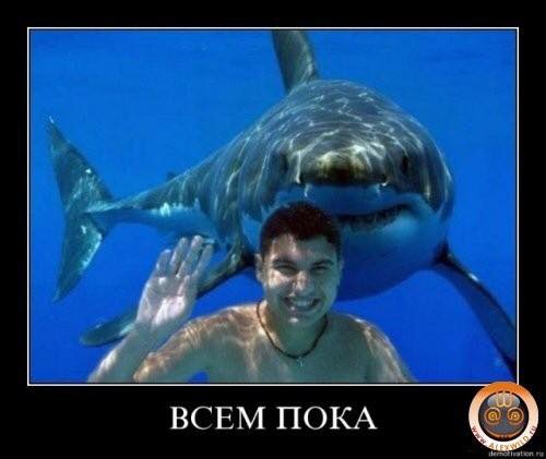 Специфический юмор