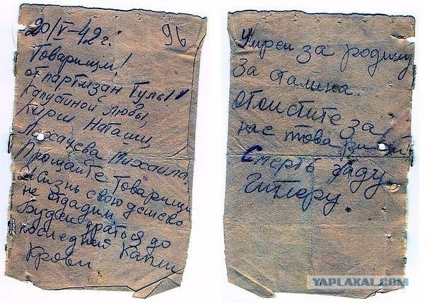 Чудики из социальных сетей