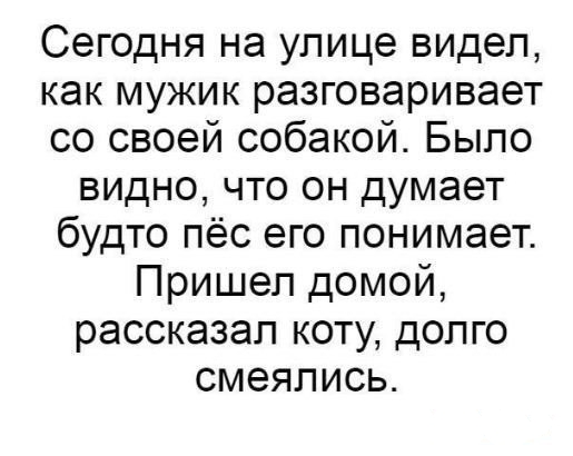 Картинки юморные и тексты