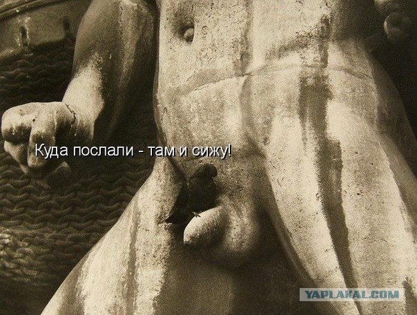 Голубь Иван