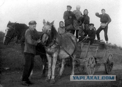 Деревенские приколы