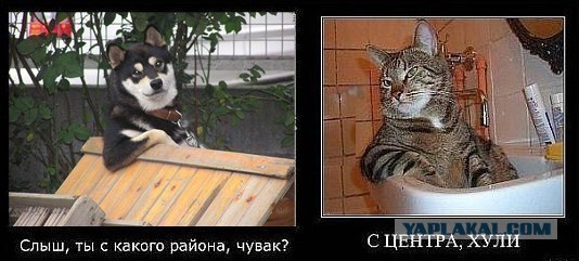 Таити... Таити...