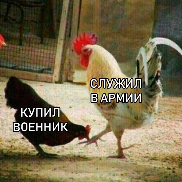 Чернушка на пятничку