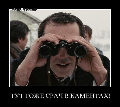 Собакам запретили появляться в общественных местах