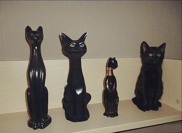 Главная молитва котизма