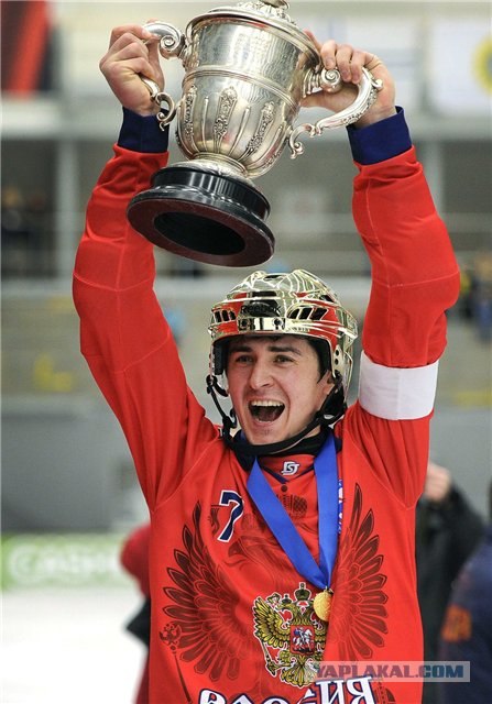 Чемпионат мира по хоккею с мячом 2013