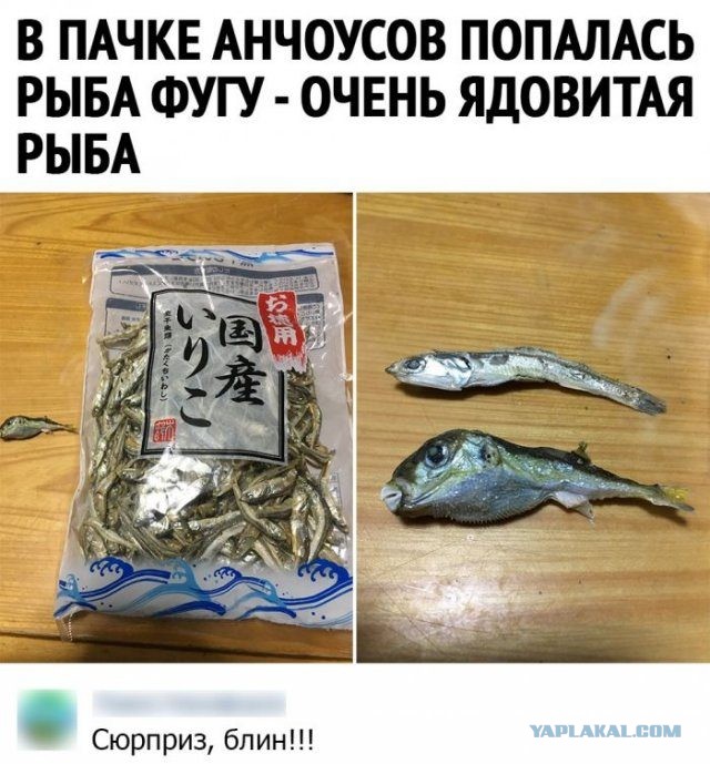 Юмор из соцсетей