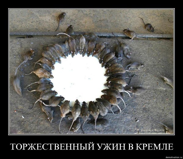 Алексей Навальный против Евгения Федорова