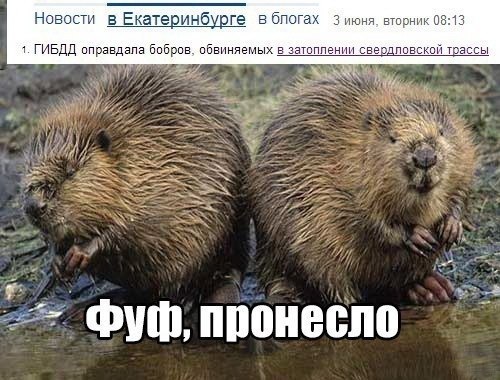 Аморалка Лайт