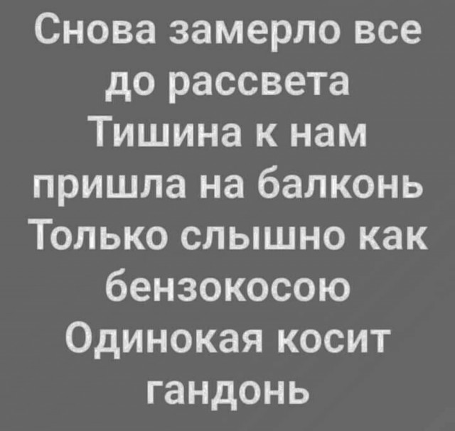 Картинки, приколы, мемы на выходные