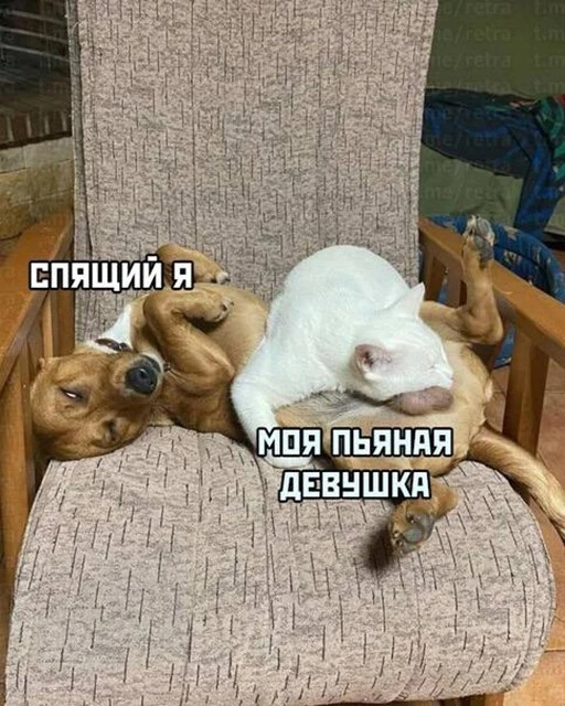 Алкопост 9.07.22