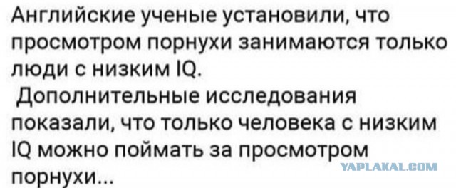 Пятница. И немного слегка пошлых картинок с надписями и без 16+ (02.09)