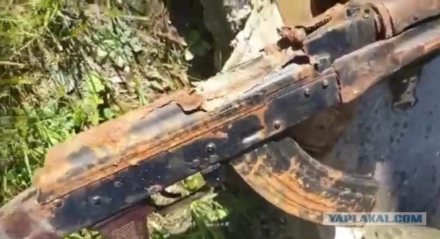 На Дону начали официально собирать деньги для мобилизованных