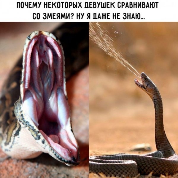 Так себе картинки 17.10.22