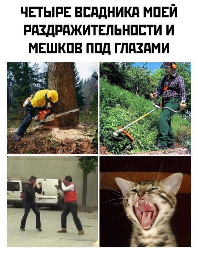 Немного картинок для настроения - 112