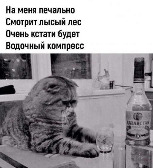 Алкопост 12.11.22