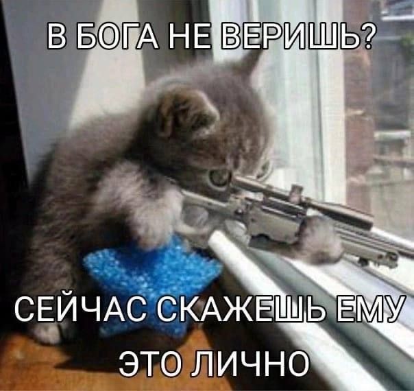 Народная меДИЧина 7000