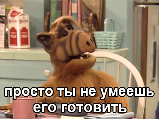 Жительница Якутии вырастила гигантскую тыкву весом более 112 килограмм