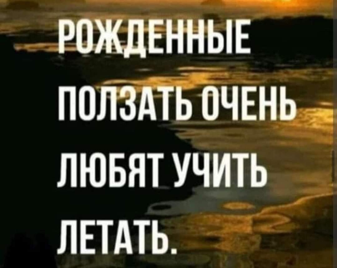 18759202.jpg