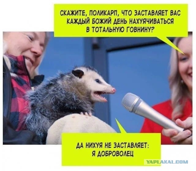 Картинки и видео категории Г (часть 2)