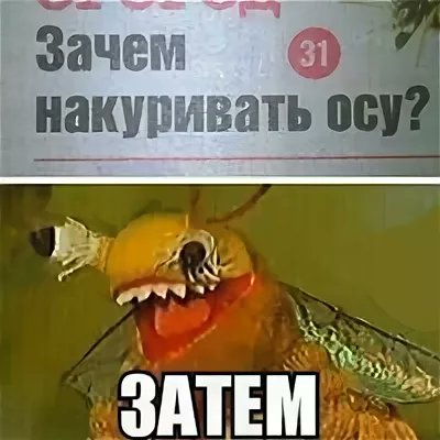 Лет ит би. Очень душевно